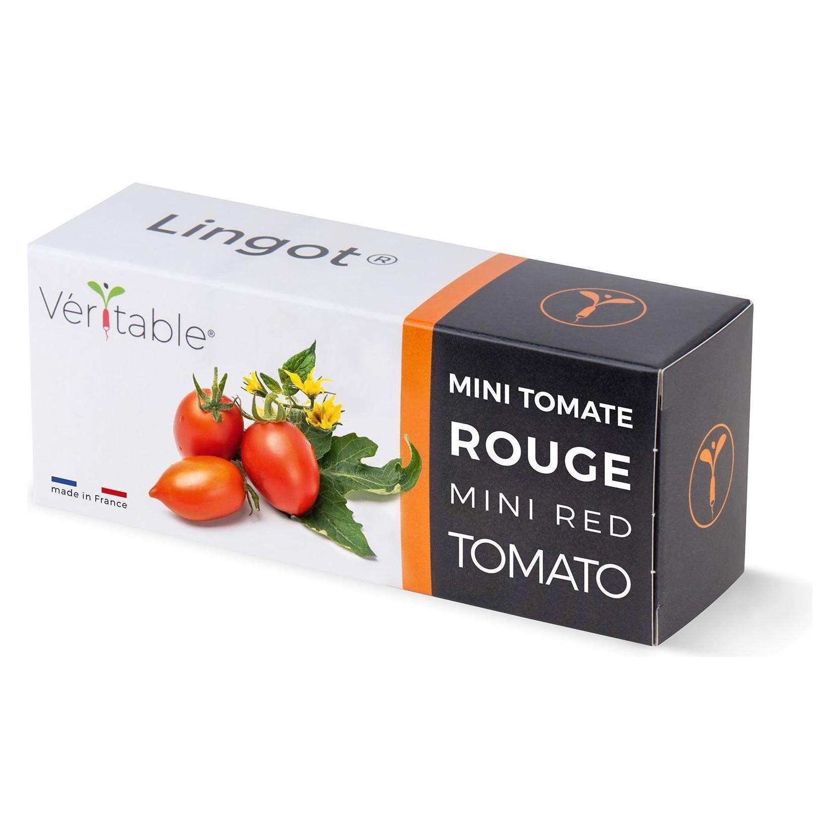Véritable Bio-Kirschtomaten (Gemüsesamen) (3760262511184)