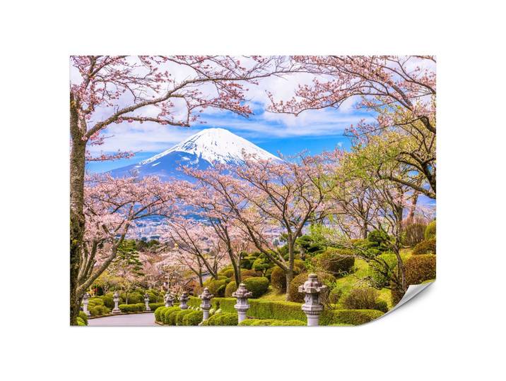 FOTOTAPETE für Wohnzimmer Peace Park Fuji View Kirschblüten 200x140