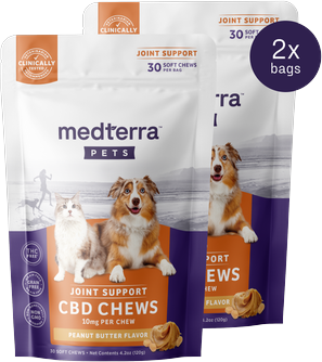 Medterra Pet CBD Joint Support Chews