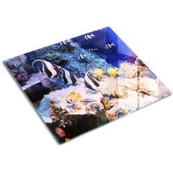GLASPLATTE 60x52 cm Korallenriff