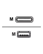 Assmann USB-Kabel USB-C M bis USB M 2.0 3 A 3 m geformt Schwarz (AK-300148-030-S)