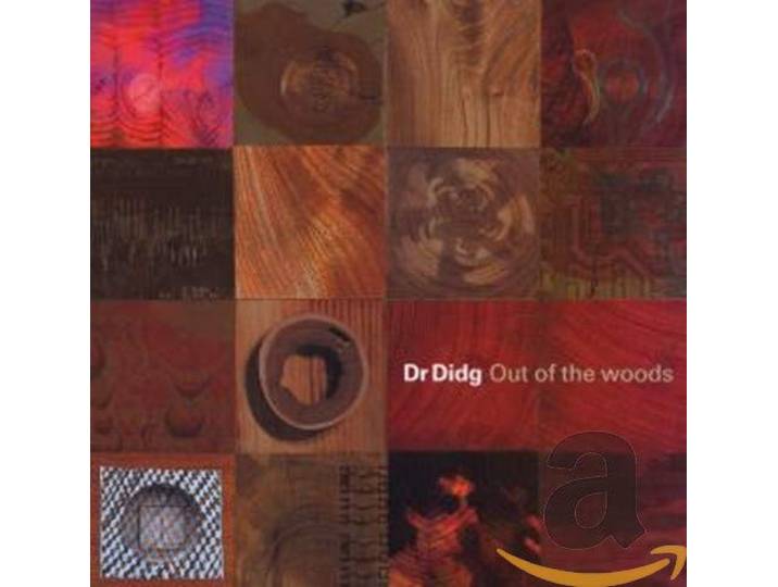 Dr Didg - Out Of The Woods