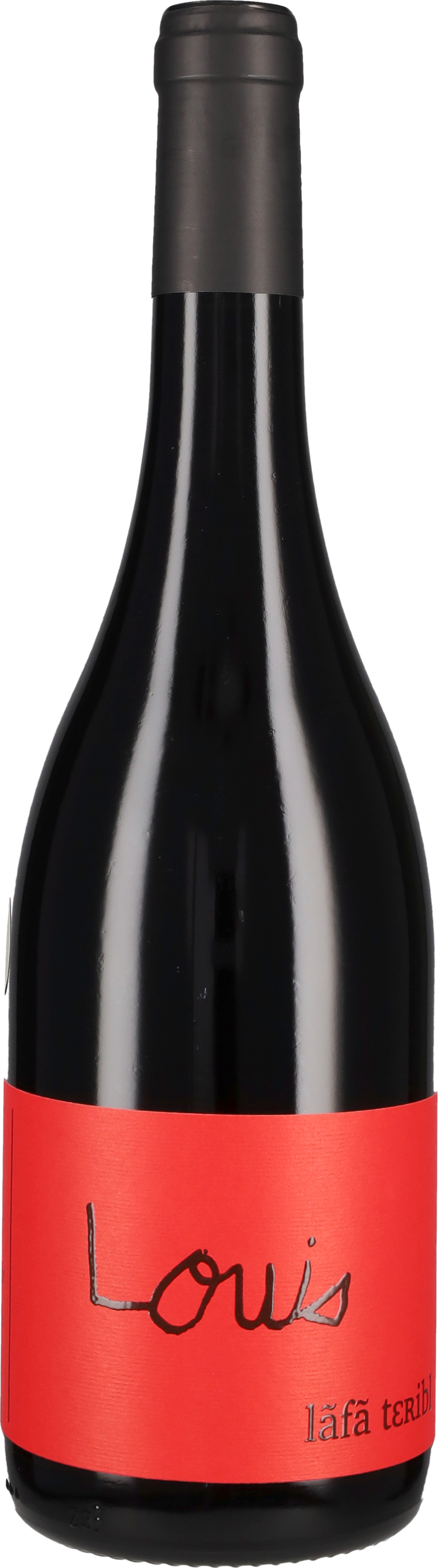 Bergeret François Hautes Cotes de Beaune Rouge 'Louis' Francois Bergeret 2023
