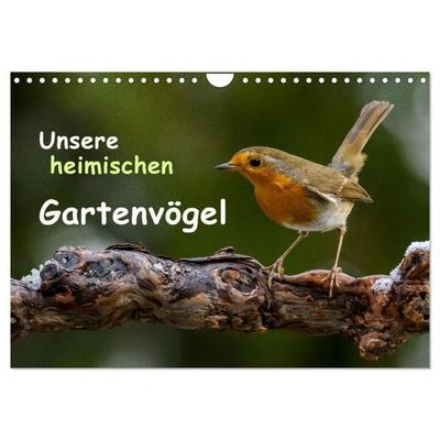 Unsere heimischen Gartenvögel (Wandkalender 2026 DIN A4 quer), CALVENDO Monatskalender