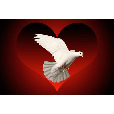 Papermoon "Vogel mit Herz"