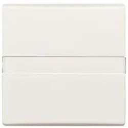 Busch-Jaeger Wippe cws 2106 N-32