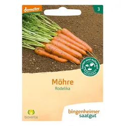 Möhre - Rodelika