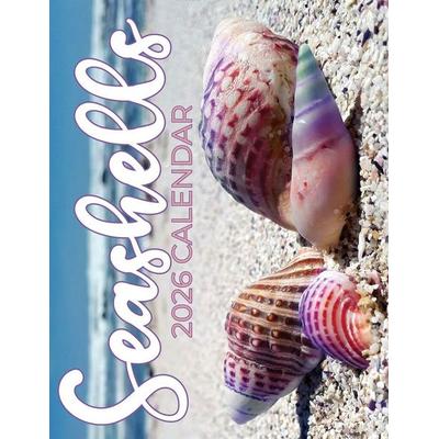 Seashells 2026 Calendar, Taschenbuch von B. Patrick, Baldega Books