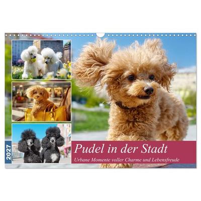 Pudel in der Stadt. Urbane Momente voller Charme und Lebensfreude (Wandkalender 2027 DIN A3 quer), CALVENDO Monatskalender