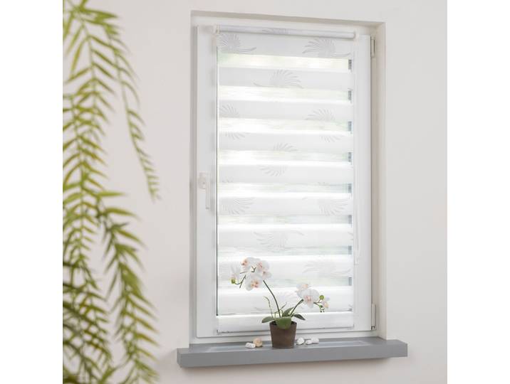 Seitenzugrollo LIEDECO Aster Gr. 5, weiss (weiß), B:60cm H:150cm, Metall, Polyester, Rollos, Seitenzugrollo, Klemmfix-DUO-Rollo, Doppelrollo Aster