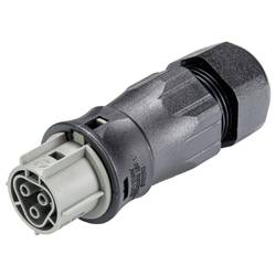 Wieland Electric 96.031.4554.3 Steckverbinder