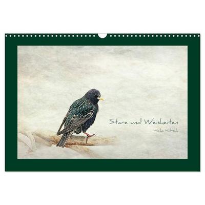 Stare und Weisheiten (Wandkalender 2027 DIN A3 quer), CALVENDO Monatskalender