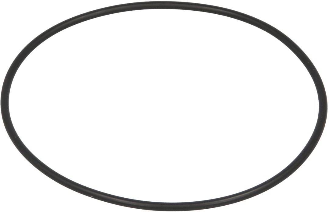 Excamec Anello di tenuta dell'albero, motore (guarnizione dell'albero motore) 977025-EXC