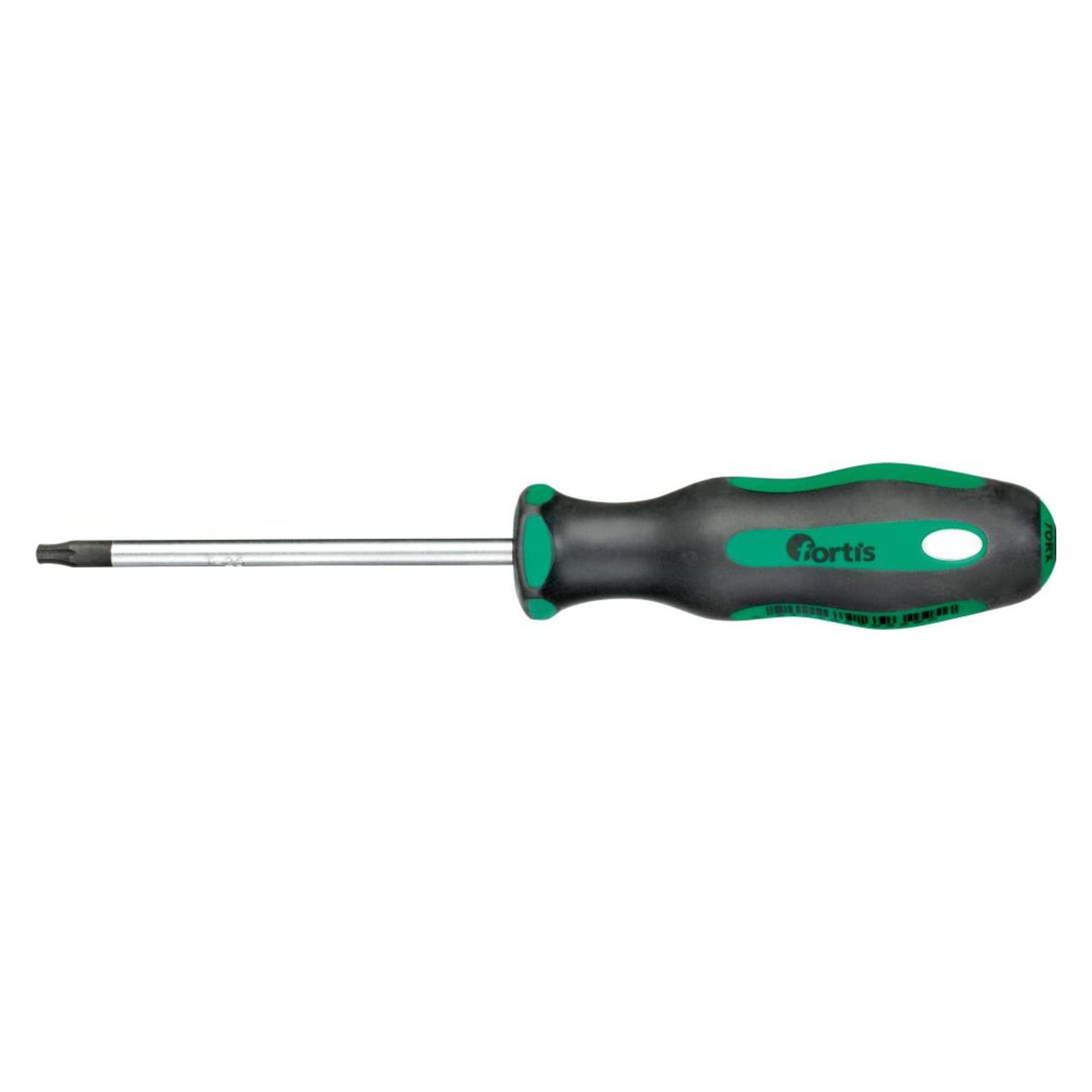 Magni Fortis Schraubendreher T25x100mm (4317784793292)