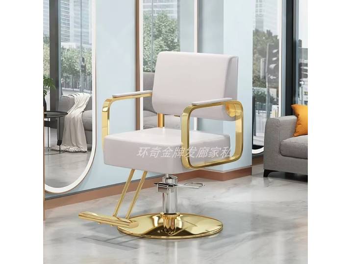 Glamour blanc chaise de barbier réglable beauté Simple élégant coiffeur chaise ergonomique esthétique Cadeira Giratoria meubles