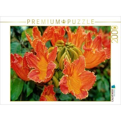 CALVENDO Puzzle Afrik. Tulpenbaum | 2000 Teile Lege-Größe 90x67cm Foto-Puzzle für glückliche Stunden