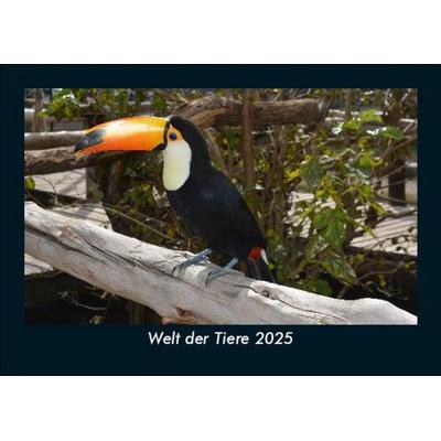 Welt der Tiere 2025 Fotokalender DIN A5