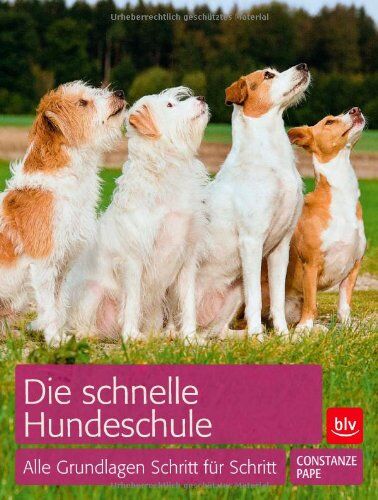 Constanze Pape - Die schnelle Hundeschule: Alle Grundlagen Schritt für Schritt - Preis vom 09.10.2026 07:28:09 h