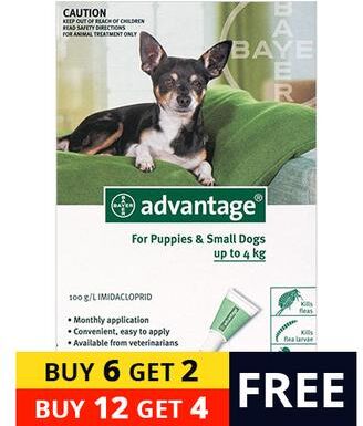 Bravecto Advantage Small Dogs/ Pups 1-10lbs (Green) 12 + 4 Free