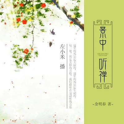 景中听禅 - 金明春, Audio, 4099995945386