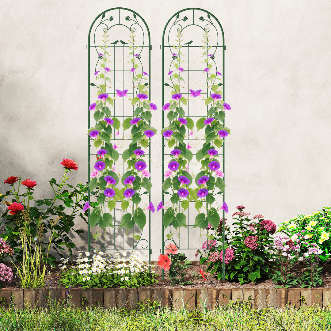 17 Stories Metal Arched Trellis Green 220cm H x 50cm W