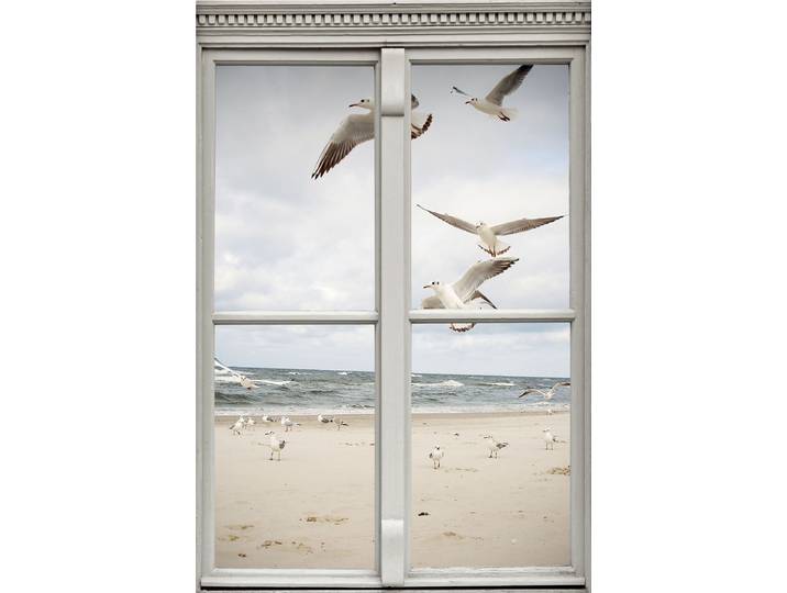 Wandsticker QUEENCE Möwen am Strand , weiss (weiß), B:40cm H:60cm T:0,1cm, Wandtattoos, Wandsticker, Wandsticker, Wandbild, selbstklebend, 3D, Fenster
