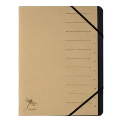 Pagna 40061-11 Tab-Register Konventioneller Dateiordner Karton Braun