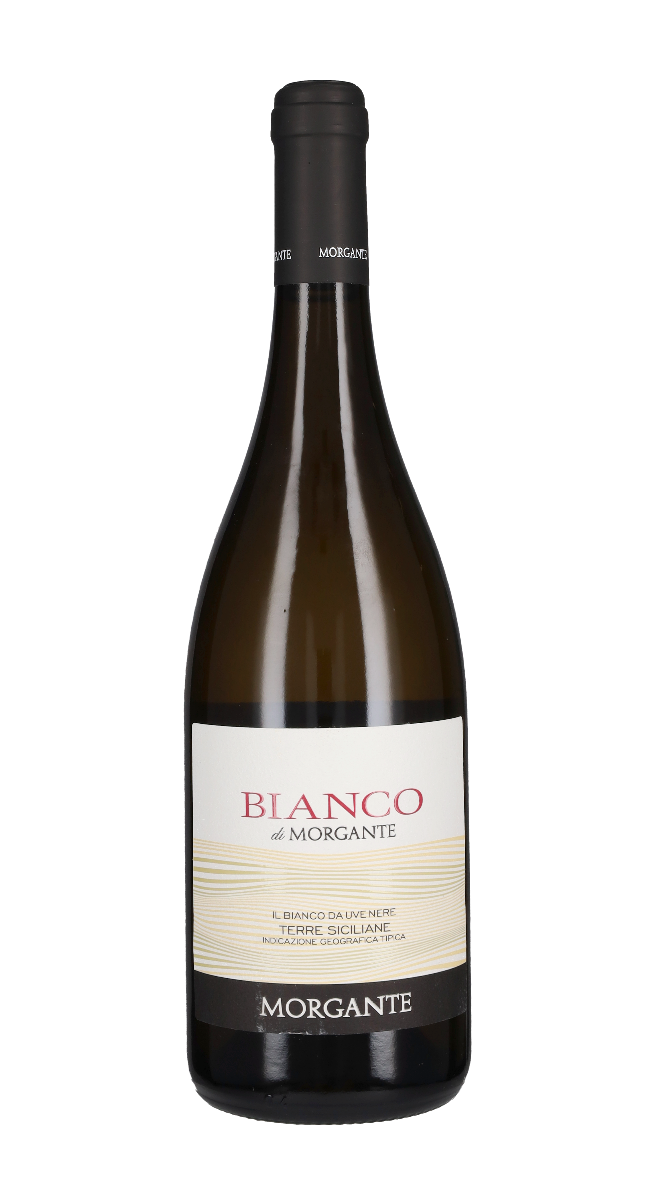 Bianco di Morgante 2025