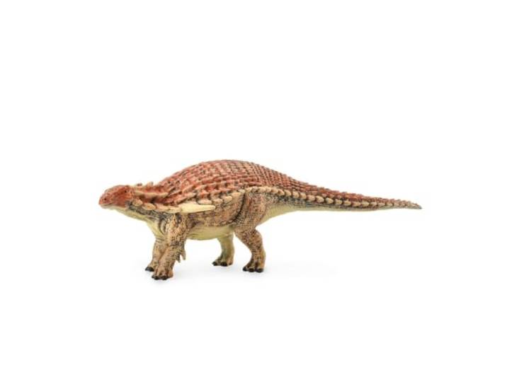 Collecta - Borealopel, L (88841).