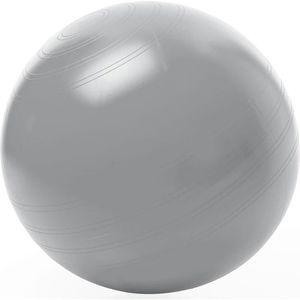 Togu Gymnastikball Sitzball ABS, Ø 65 cm, silber, belastbar bis 500 kg