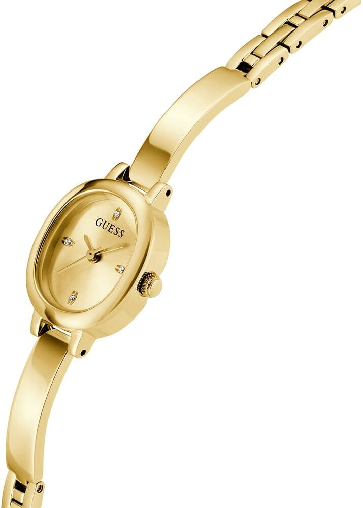 Montre Guess Penelope - Gw0924l2 Homme