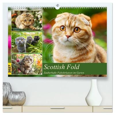 Scottish Fold. Zauberhafte Faltohrkatzen im Garten (hochwertiger Premium Wandkalender 2027 DIN A2 quer), Kunstdruck in Hochglanz