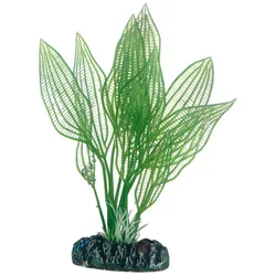 Hobby Aponogeton - 16 cm - künstliche Aquariumpflanze