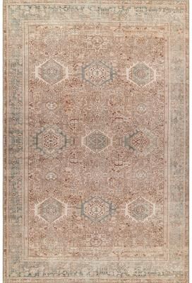 Momeni Ariana Traditional Oriental Polyester Area Rug