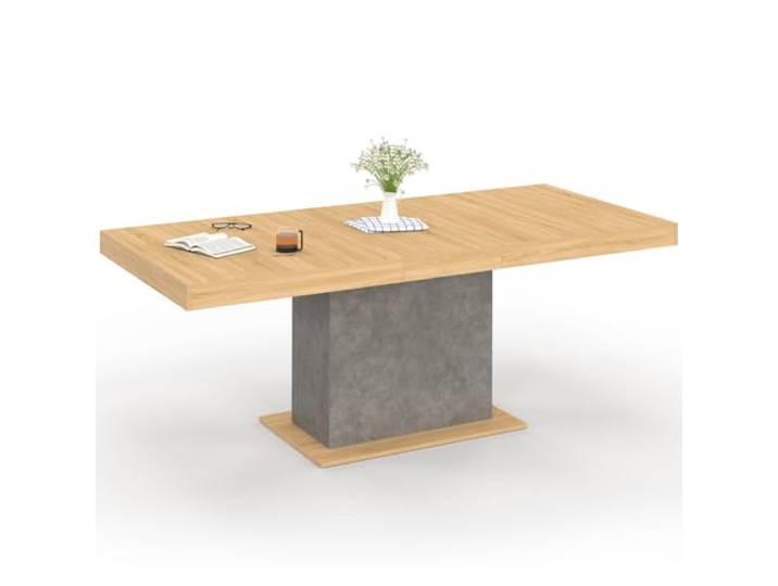 IDMarket - Ausziehbarer Esstisch Rechteck Eden 6-10 Personen Holz und Betoneffekt 160-200 cm