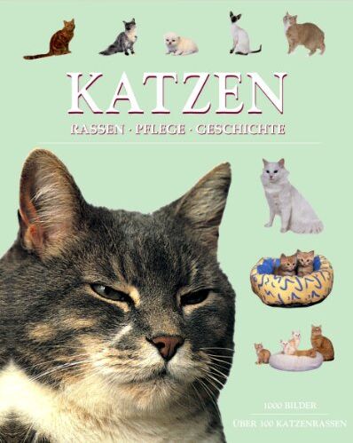 Michael Pollard - Katzen. Rassen, Pflege, Geschichte - Preis vom 09.10.2026 07:28:09 h
