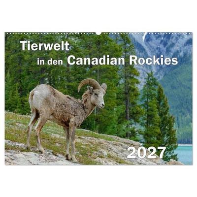 Tierwelt in den Canadian Rockies (Wandkalender 2027 DIN A2 quer), CALVENDO Monatskalender