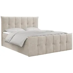 BOXBETT PREMIUM 11 140/200 Beige Struktur - H3