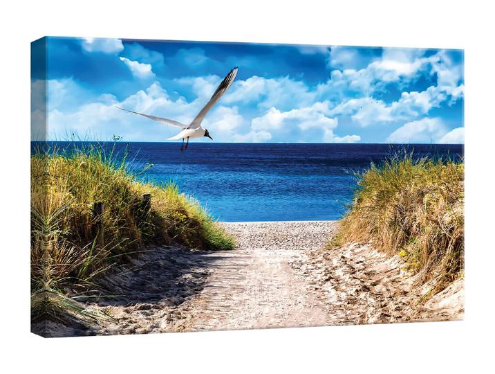 Wandbild 30x45 Seagull