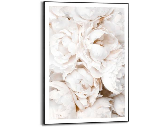 Schilderij Witte rozen - 70 x 50 - Hout - REINDERS