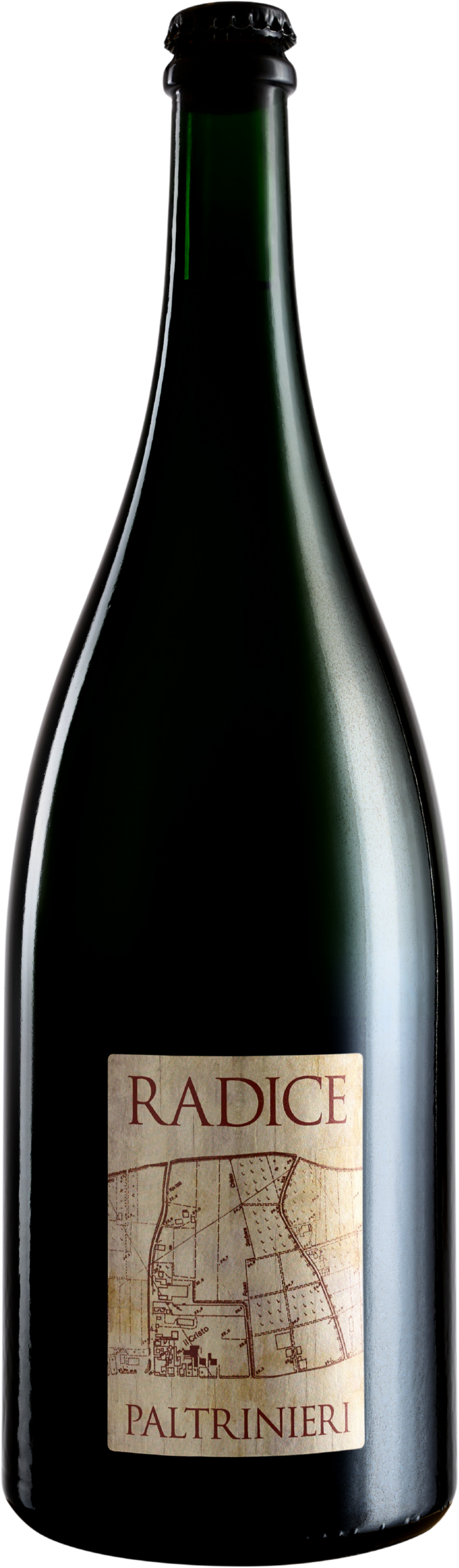 Lambrusco di Sorbara 'Radice' Magnum Paltrinieri 2023