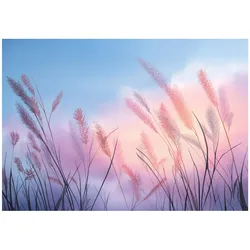 FOTOTAPETE Pampasgras Himmel Blau 350x250 cm