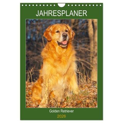 Jahresplaner Golden Retriever (Wandkalender 2026 DIN A4 hoch), CALVENDO Monatskalender