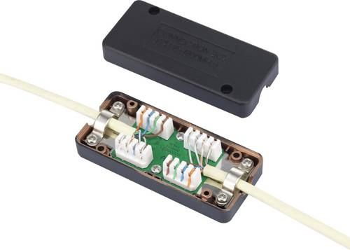 Renkforce Connection Box Passend für (Netzwerk-Spezifikationen (CAT)): CAT 6a