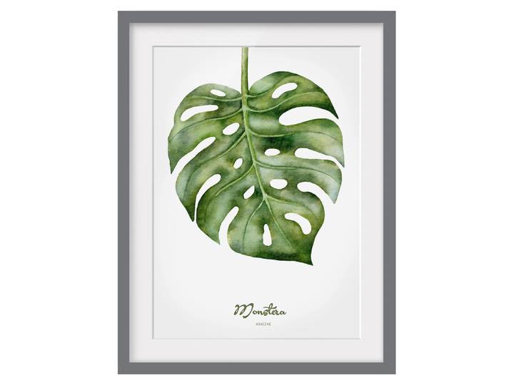 Bild Aquarell Botanik Monstera III Teilmassivholz Kiefer, matt lackiert Grün 50 x 70cm