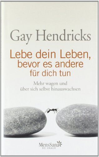 Gay Hendricks - Lebe dein Leben, bevor es andere für dich tun: Mehr wagen und über sich selbst hinauswachsen - Preis vom 05.10.2026 03:47:11 h