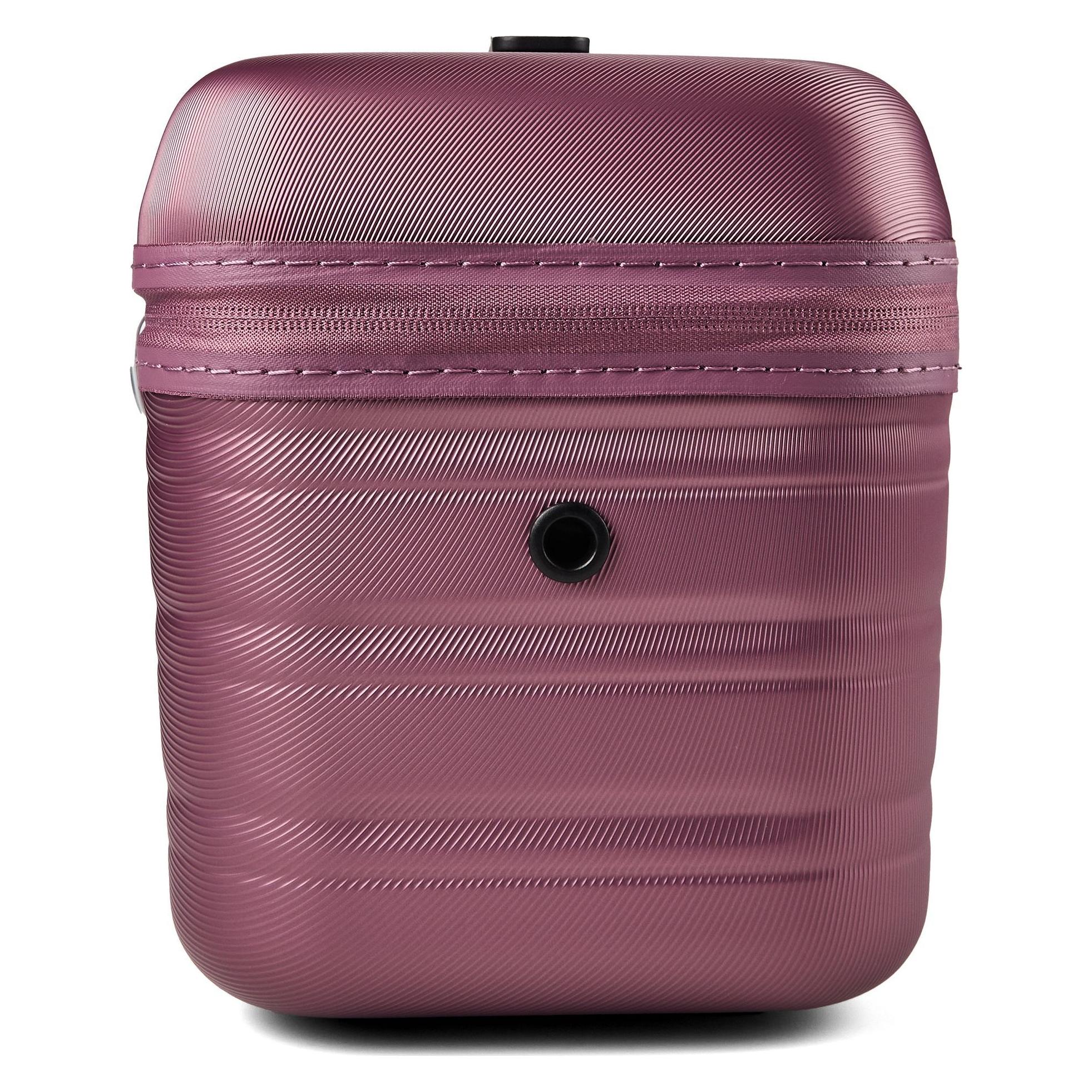 American Tourister Flashline Beauty Case (149770/B315)