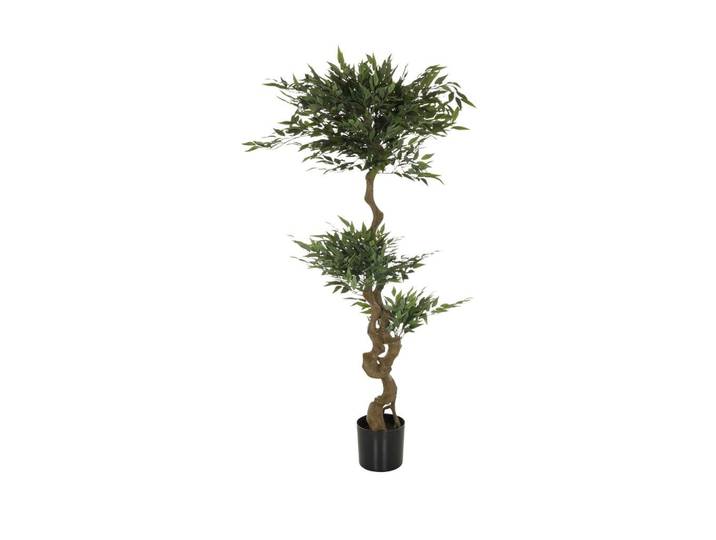 Kunstpflanze Grün L: 155 cm, Acacia