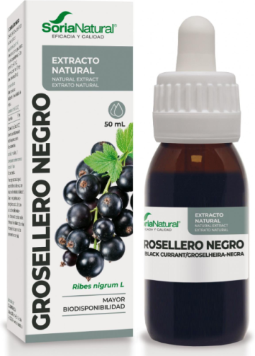 Soria Natural Blackcurrant Natural Extract 50 ml