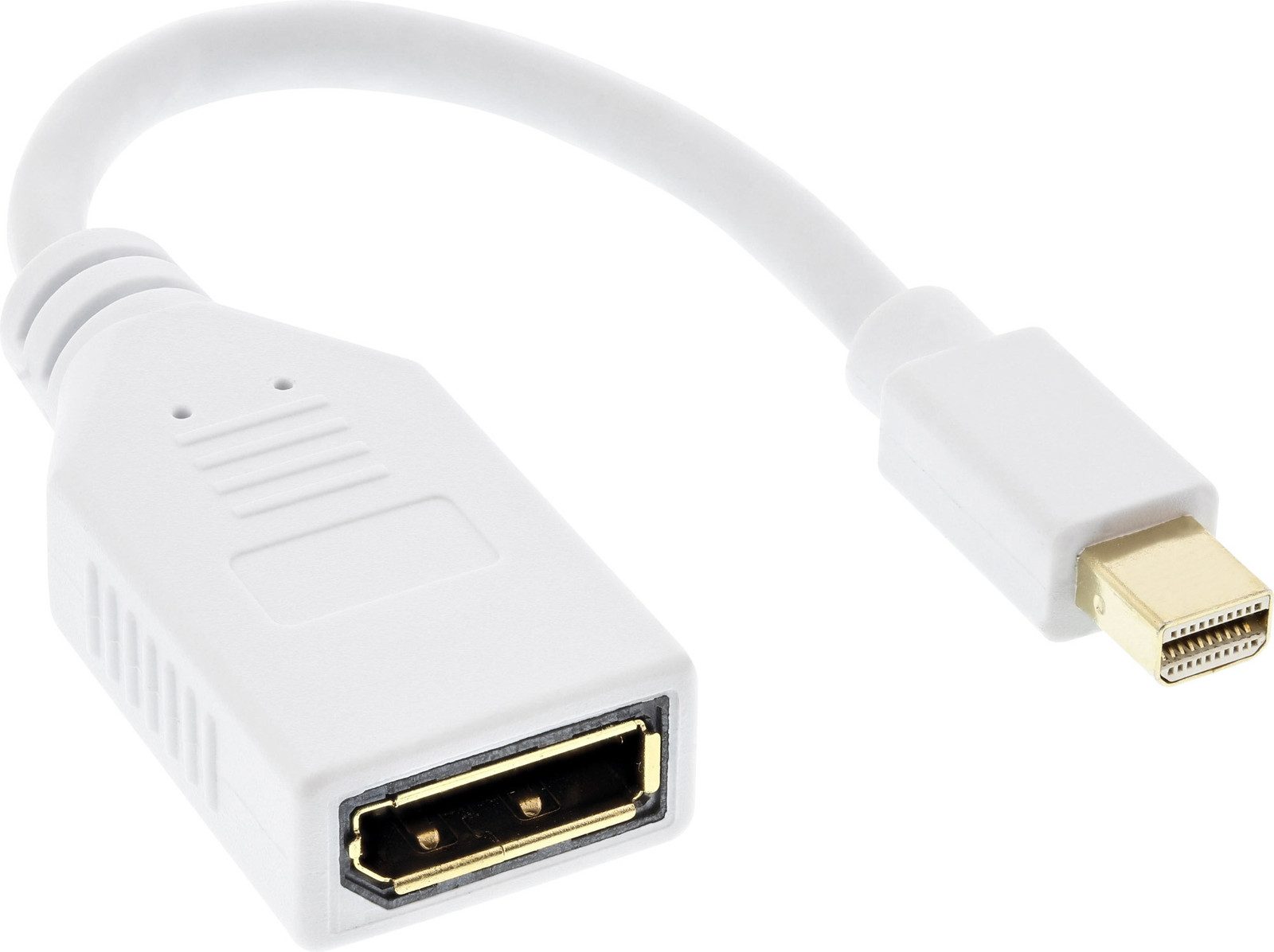 InLine 17150W DisplayPort naar Mini DisplayPort adapter, Zwart, 0,15 meter